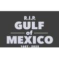 thumbnail image 2 of RIP Gulf of Mexico 1607-2025 Youth Charcoal Crew Neck Short Sleeve Tee-XS, 2 of 4