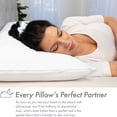 thumbnail image 3 of Ultra Silk Like Beauty Pillow Cover - Blend of 85% Nylon and 15% Spandex Means This Cover Is Designed to Keep Hair Tangle Free and Helps Skin - Bonus Matching Hair Scrunchie, White, Standard, 3 of 5