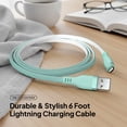 thumbnail image 3 of Powertek MFi USB-A to Lightning Two-Tone Pastel Fast Charge Cable, 6 ft, Mint, 3 of 8