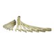 thumbnail image 1 of Juego 15 Llave Combinado Antichispa Pg Uh1200f Urrea Urrea UH1200F, 1 of 2