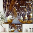 thumbnail image 2 of Designart - Majestic Tree Alley - Traditional Canvas Wall Art Print, 2 of 2