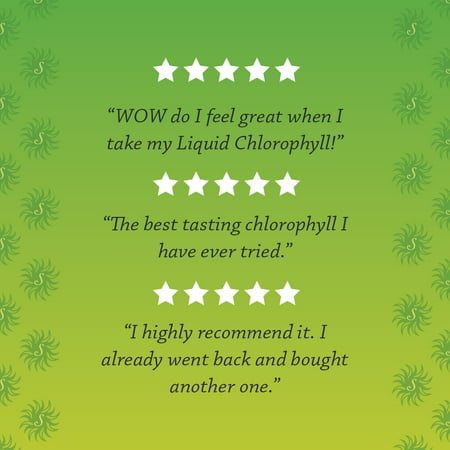 Sunny Green Liquid Chlorophyll Peppermint | Naturally Occurring Trace Vitamins & Minerals for Healthy Bowels, Kidneys & Liver Support | 16.2-Ounce