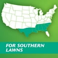 thumbnail image 3 of Scotts Turf Builder Grass Seed Centipede Grass Seed & Mulch, 5 lbs., 3 of 7