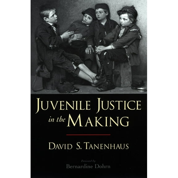 Studies in Crime and Public Policy Juvenile Justice in the Making, (Paperback)