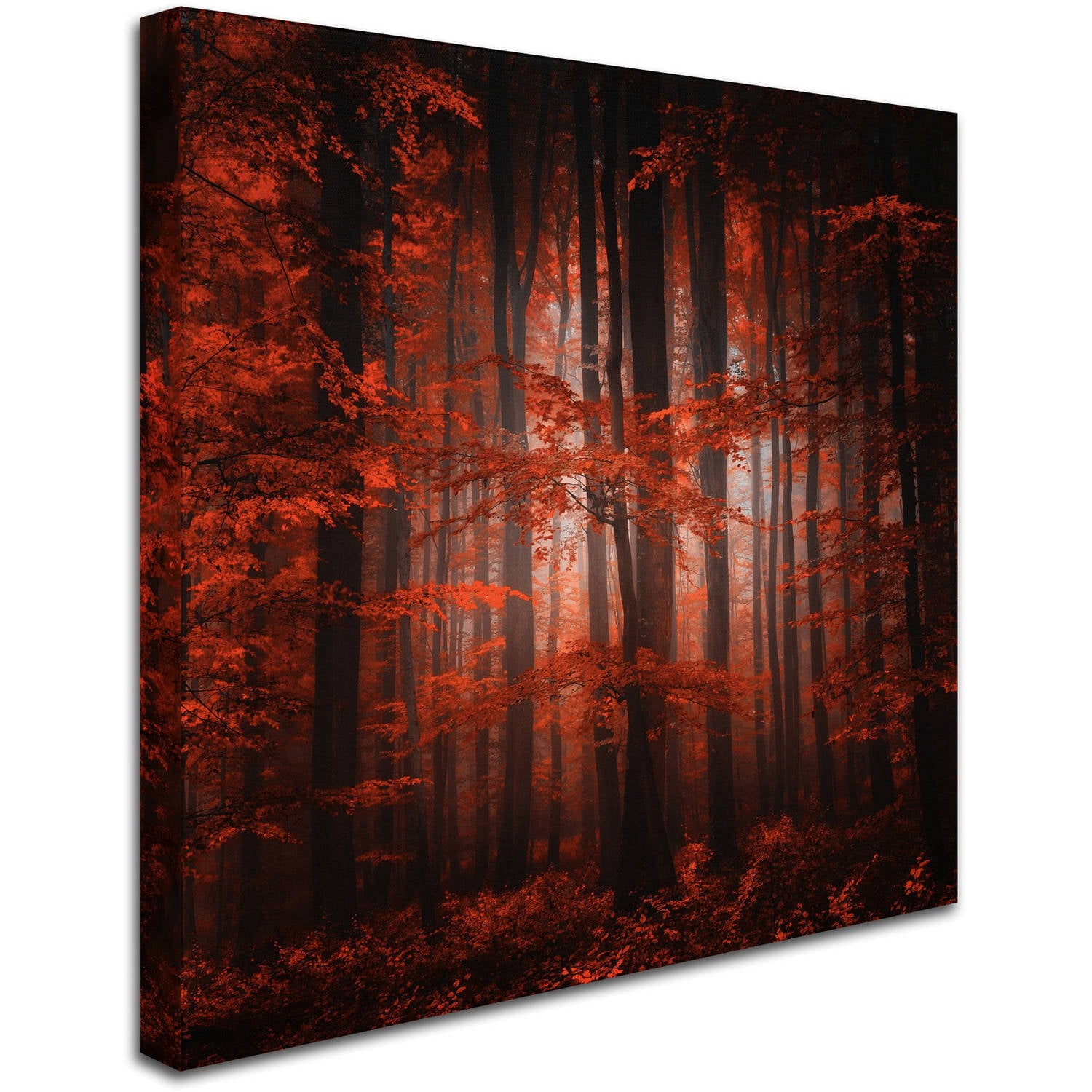Trademark Fine Art "Red Parallel Universe" Canvas Art by Philippe Sainte-Laudy