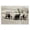Farmhouse Cattle Landscape, variant on Stupell Industries Rustic Lodge Varied Cattle on Farm Canvas Art, 24 x 16, by Rhonda Addison