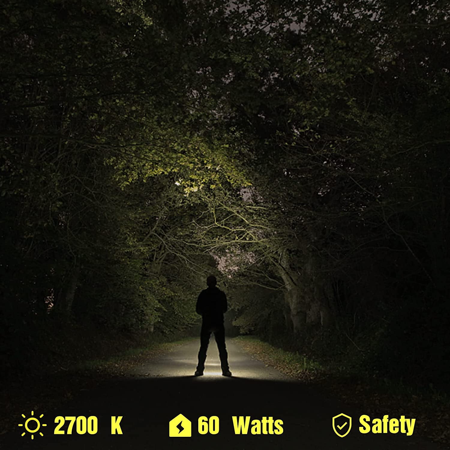 trx641_front.jpg?optimize=high