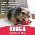 thumbnail image 4 of shiyou-Biscuit Ball™ - Durable Rubber, Treat Dispensing Toy - For Large Dogs, 4 of 4