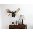thumbnail image 2 of Hi-Line Gift Ltd. Moose Head Wall Mount, 2 of 3