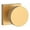 Satin Brass (Lifetime), variant on Baldwin Reserve Hdconcsr260 Half Dummy Contemporary Knob and Contemporary Square Rose Bright Chrome Finish