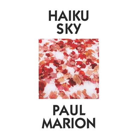Pre-Owned Haiku Sky by Paul Marion: Super Large Print Edition Specially Designed for Low Vision Readers with a Giant Easy to Read Font (Paperback)(Large Print)