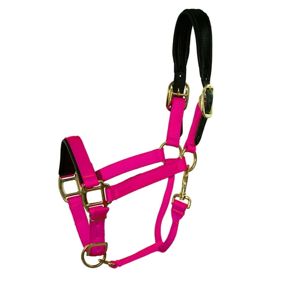 HALTER FULL 8-1100 W/NOSE PAD SWEET WATERMELON