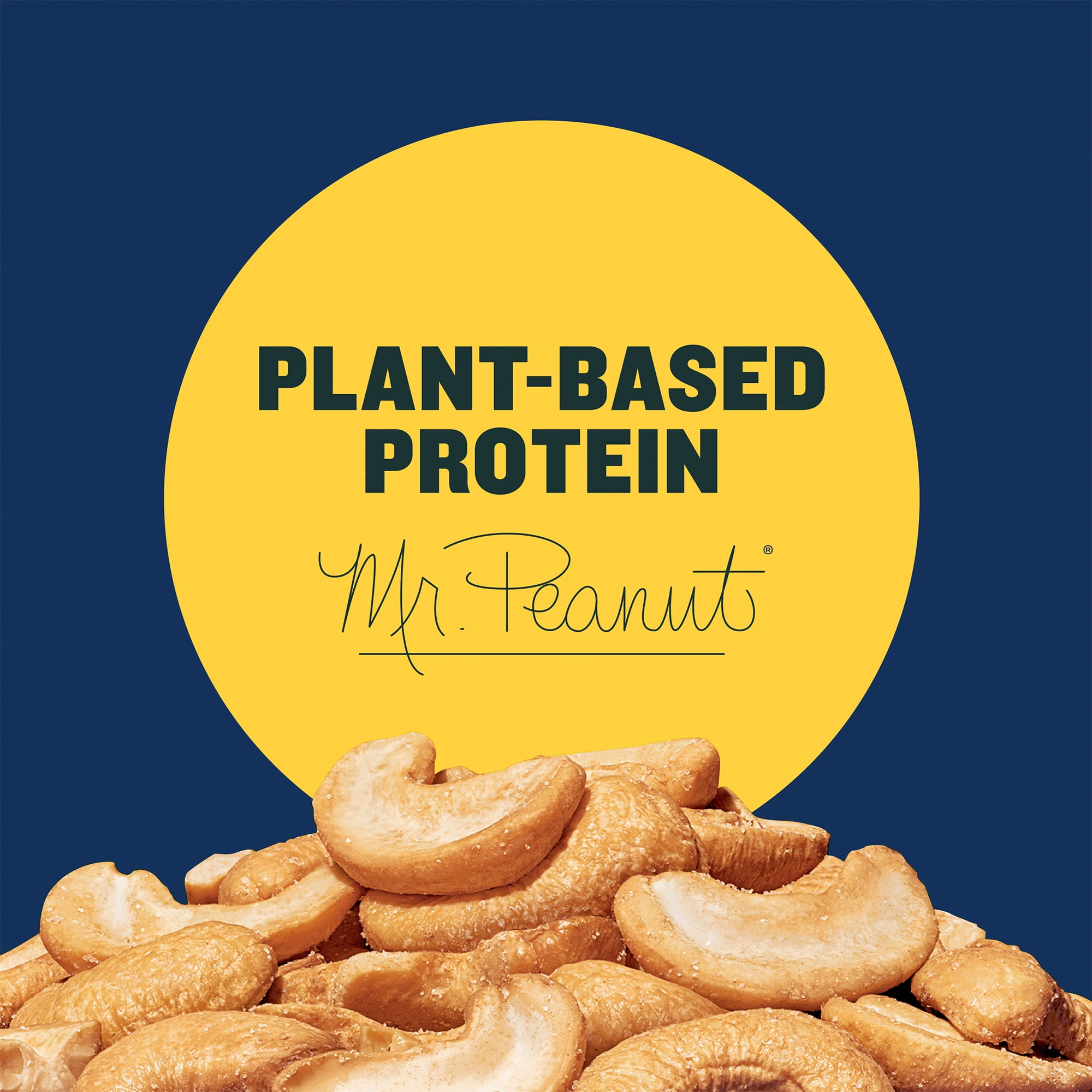 (2 pack) PLANTERS Salted Cashew Halves and Pieces, Party Snacks, Plant-Based Protein, 26 oz Canister