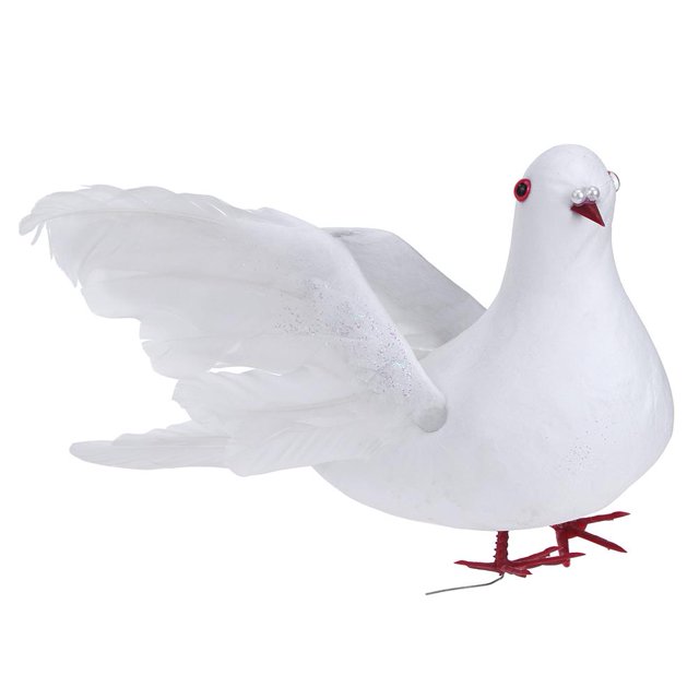 Amante Paz Palomas Pájaro Tmvgtek Para Estrenar