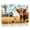 Color 5, variant on 8 Pack Art Acoustic Panels Sound Absorbing Western Farmhouse Cowboy Wildlife Bull Rustic Wooden Barn Decorative Soundproof Wall Panels Self Adhesive for Nursery Game Room Bedroom 48"x32"