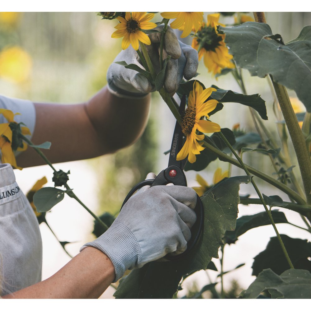Large Garden Scissors