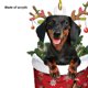 thumbnail image 3 of Trineo Cachorro Navidad Dibujos Animados Dachshund Ornamento Acrílico Fiesta Suministros (F), 3 of 9