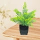 thumbnail image 5 of Maceta de plantas decorativas verdes artificiales, 5 of 6