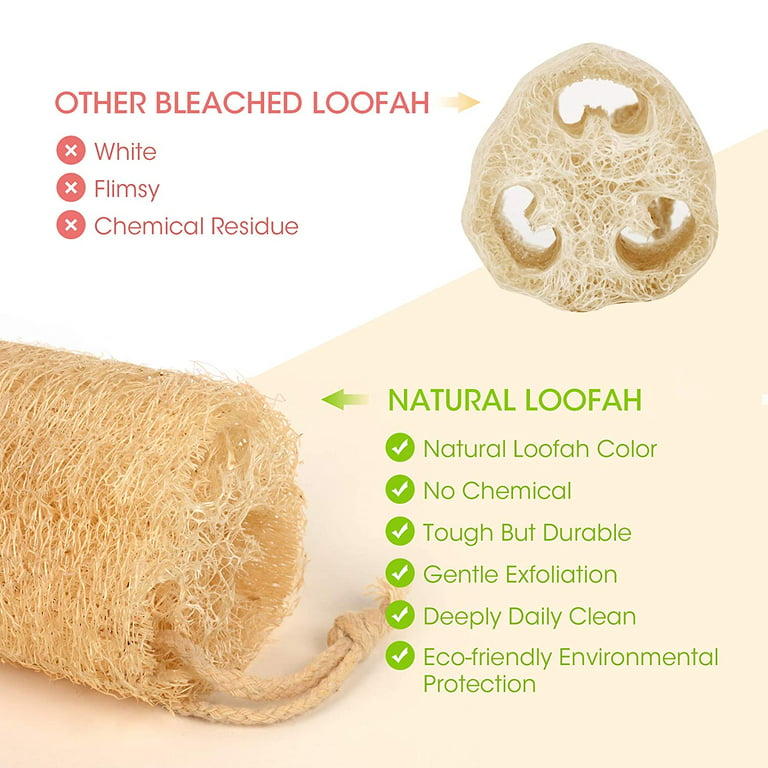 donor tillykke Eventyrer Yirtree Natural Real Egyptian Shower Loofah Sponge That Will Get You Clean  and Not Just Spread Soap (6 Pack).Natural Loofah Luffa Loofa Bath Body  Shower Sponge Kitchen Cleaing Scrubber - Walmart.com