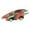 Color D, variant on Education Toys Vehicles for Kids Dinosaur Pullback Cars for Learning and Play,One Size,Color A
