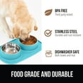 thumbnail image 6 of GORILLA GRIP Dog Bowls Feeding Mat Set, Stainless Steel Bowl, Raised Edge Silicone, 4 Cup, Turquoise, 6 of 10