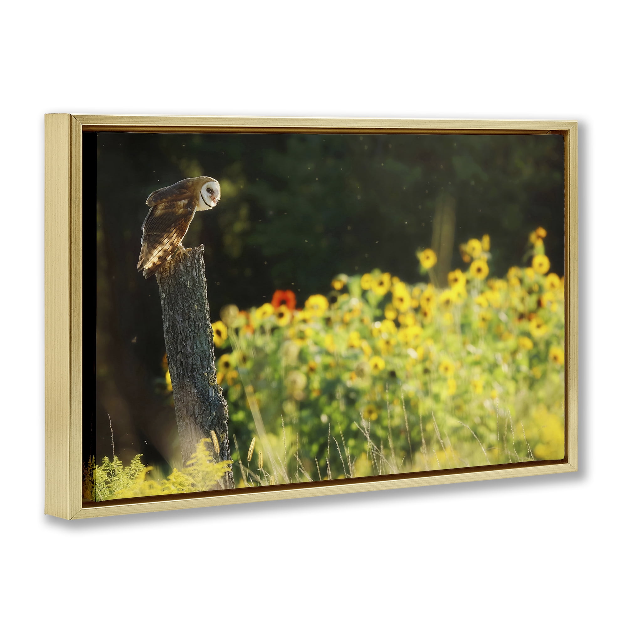Stupell Industries Owl Perched in Meadow Landscape Photography Gold Floater Framed Canvas Art Print Wall Art, 25 x 17