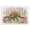 Stegosaurus Nature Landscape_v1, variant on Stupell Industries Eclectic Stegosaurus In Nature Canvas Art, 20 x 16, by Raquel Maciel