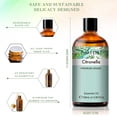 pure-natural-citronella-essential-oil-for-mosquito-repellent