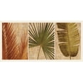 thumbnail image 2 of Seba, John 24x14 White Modern Wood Framed Museum Art Print Titled - Palm Vista II, 2 of 4