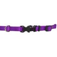 thumbnail image 2 of Coastal Produits pour Animaux CO04699 Collier Réglable en Nylon.38 Po - Violet, 2 of 2