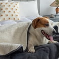 thumbnail image 5 of vnanda Double-sided Pet Blanket Pet Blanket Waterproof Durable Bed Mat for Dogs Cats Ultra-soft Comfortable Double-sided All-season Pet Supplies, 5 of 8
