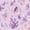 Color 2, variant on Peel and Stick Wallpaper Tropical Island Coral Split View Waterline Wall Mural 17.7in x 9.8ft Self Adhesive Removable Wall Paper Renter Friendly Wallpaper for Nursery Bedroom Cabinets