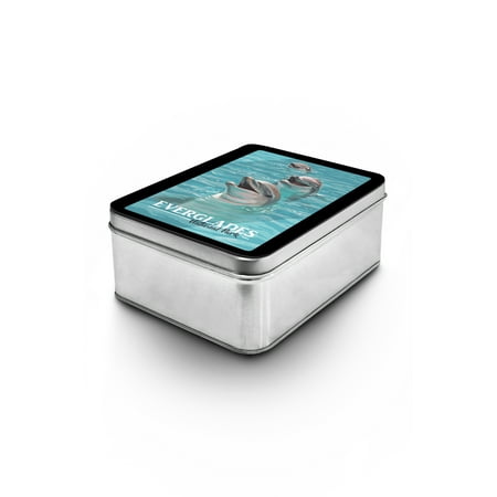 Dolphin Keepsake - Everglades National park - Dolphins - Lantern Press Artwork (Keepsake Tin)