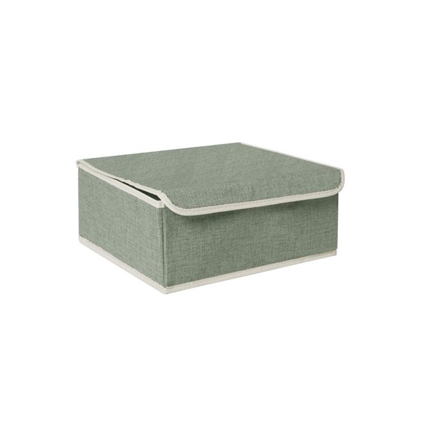 Naiovety Caja de almacenamiento de ropa interior para el hogar, armario, ropa, sujetador, organizador, compartimentos, cajas con cubierta Almacenamiento y organización del hogar 13 cuadrícula/Verde