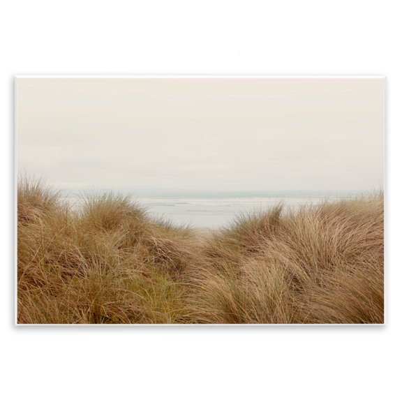 Stupell Industries Coastal Beach Behind Tall Grass Sun Bleached Ocean Landscape Wall Plaque Art, 15 x 10, by Ian Winstanley