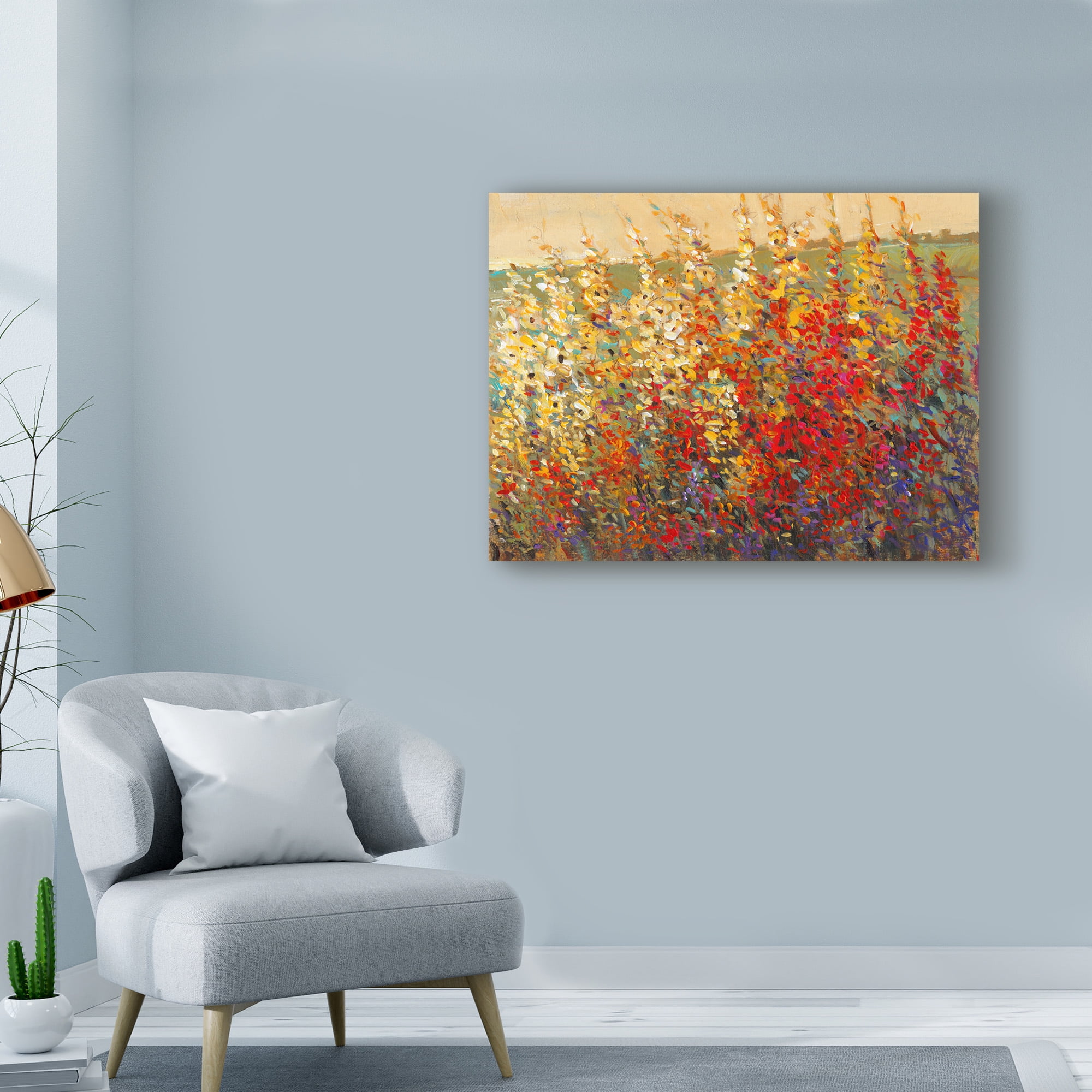 Trademark Fine Art 'Field of Spring Flowers I' Canvas Art by Tim OToole
