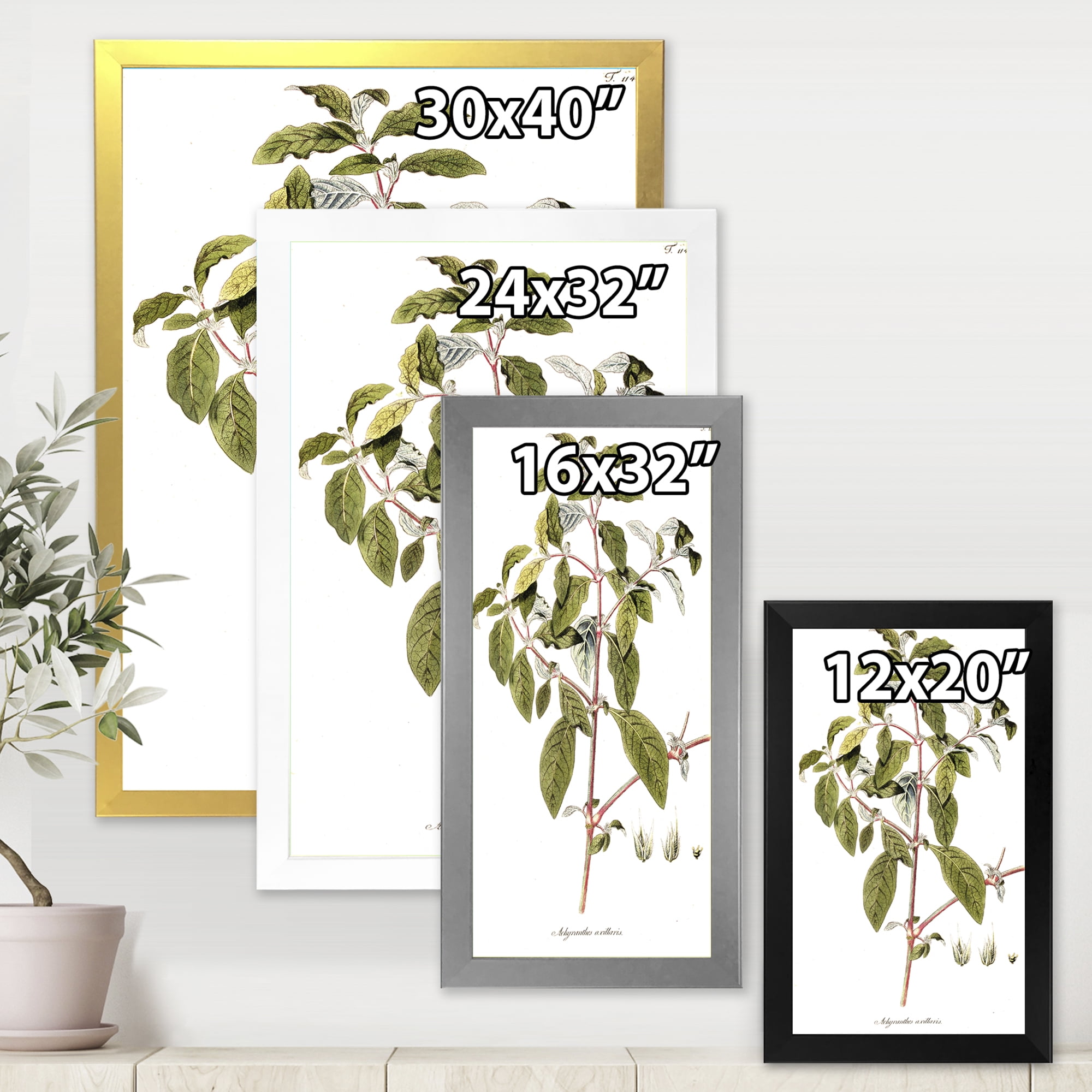 Designart 'Ancient American Flora IV' Traditional Framed Art Print