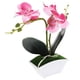 thumbnail image 4 of Mini orquídea mesa planta ornamento planta en maceta artificial para baño cocina, 4 of 6