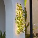 thumbnail image 4 of Ivy String Lights 100Led Decoración De Iluminación Solar Powered Led String Lights Fairy Vine Decoración Bombilla Cadenas De Iluminación Decorativas Para Patio Jardín Pasarela Boda 32.8Ft Moyic HA027405-02, 4 of 6