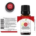 thumbnail image 2 of Plant Therapy Chakra 1 Grounded Foundation (Root Chakra) Essential Oil Blend 10 mL (1/3 oz) 100% Pure, Undiluted, Therapeutic Grade, 2 of 7