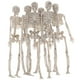 thumbnail image 1 of KAKOWELY 6 piezas de esqueleto falso para Halloween, pequeños esqueletos, modelos de huesos del cuerpo humano, 1 of 4