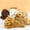 🔥 White, variant on Msgweeeg Small Stuffed Animals Plush Figure Toys Mini Gifts Gifts Teddy Dog Doll Cute Simulation Stuffed Puppy Dog Doll Toys Gift