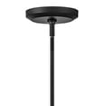 thumbnail image 6 of Hinkley Lighting - Luca - 1 Light Large Convertible Pendant In Transitional and, 6 of 8