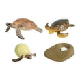 thumbnail image 3 of Juguetes de tortuga de ciclo de vida CUTICAT Conjunto tortuga marina, 3 of 8