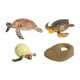 thumbnail image 3 of Juguetes De Tortuga De Ciclo De Vida, Ciencia Cognitiva Realista Para Nios Y Nias, Tortuga Marina Educativa, 3 of 8