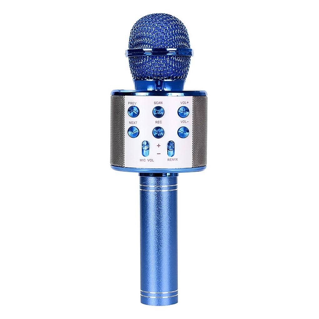 microphone with echo effect