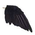 thumbnail image 5 of XHKUYI Halloween Realistic Crow 13 inch, Fake Black Feathered Standing Crow, Spooky Ravens for Halloween Yard Tree Garden Patio Haunted House Prop, 5 of 9