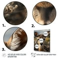 thumbnail image 3 of Designart "Photo Selfie Antelope " Animals Floater Framed Wall Art Living Room, 3 of 7