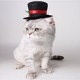 thumbnail image 4 of Mascota perro gato sombrero de copa disfraz de Cosplay sombrero de copa negro Navidad Halloween Cosplays accesorios suministros de disfraces de vacaciones, 4 of 5