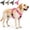 Pink, variant on No Pull Dog Harness with Handle Walking Training Vest, | 2026 New Front Clip Dog Harness, Reflective Pet Vest Tactical Harness for Large Medium Small Dogs Walking Training